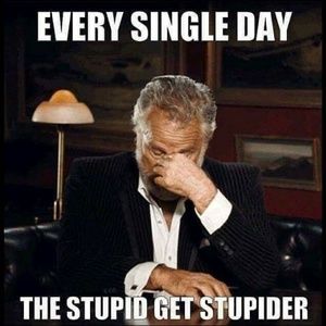 Meet your Posher, Adrienne